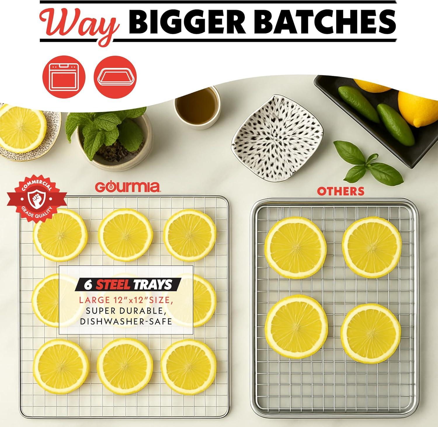 image:imageGourmia Digital Food Dehydrator 6 Stainless Steel Trays 360 Airflow OneTouch Presets Adjustable Temp 95165F Timer Glass Door Quiet Operation 600W Healthy Snacks Jerky Fruits amp More